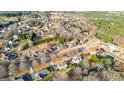 An aerial view of a neighborhood with homes featuring lush landscaping and mature trees in a tranquil setting at 263 Caitlyn Dr, Hampton, GA 30228