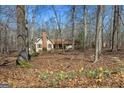 A home with a brick chimney stands among bare trees and daffodils, showcasing a serene, wooded landscape at 135 Flat Creek Ct, Fayetteville, GA 30214