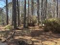 Secluded backyard with mature trees and natural foliage at 230 White Rd, Fayetteville, GA 30214