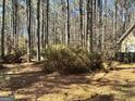 Heavily wooded backyard provides privacy and a sense of seclusion at 230 White Rd, Fayetteville, GA 30214