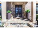 Elegant front entrance featuring double doors, stone accents, columns, potted plants, and a stone walkway at 120 Kettering Trce, Tyrone, GA 30290