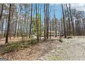 Secluded home nestled among tall trees, featuring a long driveway and mailbox with clear signage at 179 Green Valley Rd, Fayetteville, GA 30214