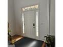 Bright foyer with white door, sidelights, transom window, and neutral decor at 255 Squire Ln, Fayetteville, GA 30214
