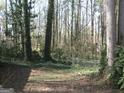 Spacious backyard featuring a chain link fence and mature trees at 2102 Mulkey Sw Rd, Marietta, GA 30008