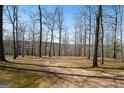Expansive wooded property with mature trees providing shade and privacy at 680 Milligan Creek Rd, Roopville, GA 30170