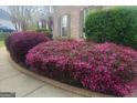 Beautifully landscaped front yard showcasing lush, colorful bushes along a curved walkway at 711 Lily Glen Ln, Stockbridge, GA 30281