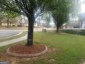Street view of the lawn and trees in this quiet residential neighborhood at 711 Lily Glen Ln, Stockbridge, GA 30281