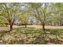Expansive backyard featuring mature trees and a lush, green lawn at 110 Sycamore Bnd, Fayetteville, GA 30214