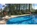 Sparkling blue swimming pool surrounded by lush greenery and a patio area, perfect for outdoor relaxation at 233 Creekstone Bnd, Peachtree City, GA 30269