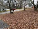 Street view of a front yard covered in leaves, located in a quiet neighborhood at 191 Charles Cox Dr, Canton, GA 30115