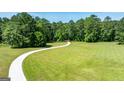 Long, winding driveway through a lush green lawn leading to a private residence, lined with mature trees at 129 Old Norton Rd, Fayetteville, GA 30215