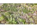 Lush, dense forest aerial view with home hardly visible beneath, showcasing the property's privacy and natural setting at 575 Chuli Rd, Locust Grove, GA 30248