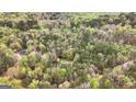 Extensive aerial view showing a home and shed with pool surrounded by a lush and dense forest landscape at 575 Chuli Rd, Locust Grove, GA 30248
