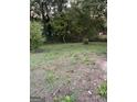 View of overgrown backyard with sparse weeds and overgrown trees surrounding the property at 1827 Thomasville Se Dr, Atlanta, GA 30315