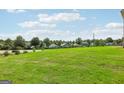 Picture of the green grass in the backyard with an adjacent street and a couple of houses in the distance at 864 Maduro Way, Mcdonough, GA 30253