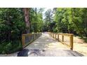 Picturesque walking trail bridge with lush greenery creating a peaceful and inviting outdoor space at 325 Silver Moon Dr, Loganville, GA 30052