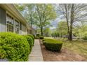 Beautiful side yard with mature landscaping and a concrete pathway, lush and inviting at 115 Bob White Trl, Fayetteville, GA 30215