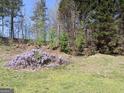 View of a backyard with mature trees, green grass, and a flower bed in need of some TLC at 172 Willow Springs Ln, Stockbridge, GA 30281