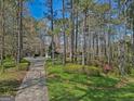 Long driveway leading to a charming house surrounded by lush trees and landscaping, offering a secluded retreat at 150 Mary Lynn Ln, Fayetteville, GA 30214