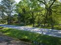 A pleasant street view featuring mature trees, and a glimpse of charming homes in a serene residential area at 174 E Broad St, Fairburn, GA 30213