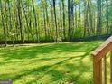 Lush backyard with mature trees and ample space for outdoor activities at 149 Wimberly Way, Powder Springs, GA 30127