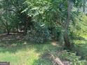 Lush backyard offers a private setting with mature trees and a tranquil atmosphere at 30 Laurel Way, Covington, GA 30016
