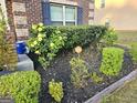 Front yard landscaping with roses, mulch and manicured bushes at 1166 Vienna Ct, Hampton, GA 30228