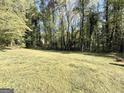 Expansive backyard featuring a lush green lawn surrounded by mature trees, offering privacy and space at 1898 Mornington Ln, Snellville, GA 30078