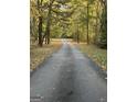 Scenic driveway leading through a canopy of trees with colorful fall foliage at 671 Ellison Rd, Tyrone, GA 30290