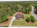 Aerial view of a two-story home surrounded by trees and lush landscaping at 189 Willowleaf Way, Sharpsburg, GA 30277