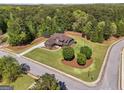 Aerial view of a home on a corner lot with mature trees and a large, well-manicured lawn at 189 Willowleaf Way, Sharpsburg, GA 30277
