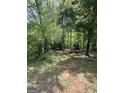 Expansive backyard with a lawn, ideal for outdoor activities and relaxation at 5363 Forest Dr, Loganville, GA 30052