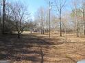 Expansive lot with scattered trees, power lines, and a charming home nestled in the background at 526 Mount Carmel Church Rd, Temple, GA 30179