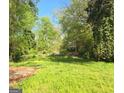 The property contains mature growth and lots of room for activities at 2016 Conrad Se Ave, Atlanta, GA 30315