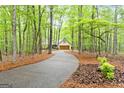 Winding driveway leading to a house, showcasing the property's secluded location at 145 Flat Creek Ct, Fayetteville, GA 30214