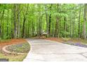 Long driveway leading up to a home surrounded by lush greenery and purple flowers at 145 Flat Creek Ct, Fayetteville, GA 30214