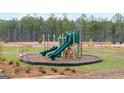 Community playground provides fun for all ages with slides and climbing equipment surrounded by green space at 322 Sound Cir # 118, Stockbridge, GA 30281