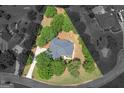 Expansive aerial view of the property showcasing lush greenery, manicured lawns, and the home's unique triangular lot at 1103 Wilder Ct, Mcdonough, GA 30252