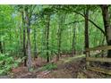 Lush backyard with mature trees, offering a private and serene natural setting with a split rail fence at 2693 Blairsden Nw Pl, Kennesaw, GA 30144