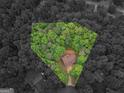 Aerial view of the property surrounded by lush green trees, offering privacy at 445 Royal St, Mcdonough, GA 30253