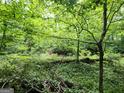 Lush green backyard with mature trees and natural landscaping offering privacy at 363 Weatherstone Ln, Marietta, GA 30068
