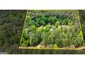 Aerial view of wooded property highlighting the home's setting amidst lush greenery and mature trees at 130 Brooklet Way, Brooks, GA 30205
