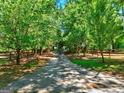 Private driveway with trees framing the wrought iron gate and wooden fence, offering a secluded entrance to the property at 228 Indian Creek Rd, Locust Grove, GA 30248