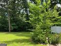 View of backyard featuring lush greenery and a decorative garden accent at 1170 5Th Ave, Jonesboro, GA 30236