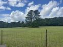 Expansive green field with mature trees under a partly cloudy sky at 1627 Leguin Mill Rd, Locust Grove, GA 30248