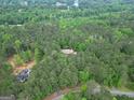 Aerial view showcasing a home nestled within a dense forest near a lake at 428 Turner Rd, Mcdonough, GA 30252