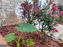Landscaping surrounding a home with various bushes and other foliage in the front yard at 1762 Wood Stork Drive, Hampton, GA 30228