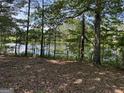 View of a pond through a stand of trees at 3136 Camp Branch Rd, Buford, GA 30519