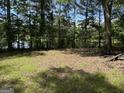 Picture of a grassy clearing through trees with a view of a pond at 3136 Camp Branch Rd, Buford, GA 30519