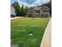 Expansive front lawn featuring a young tree and a basketball hoop, offering ample space for outdoor activities at 436 Lothbury Ave, Locust Grove, GA 30248
